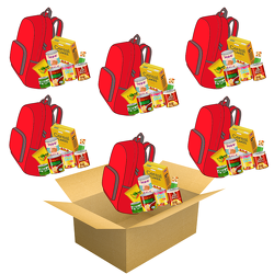 Box of BackPack Buddies Bags